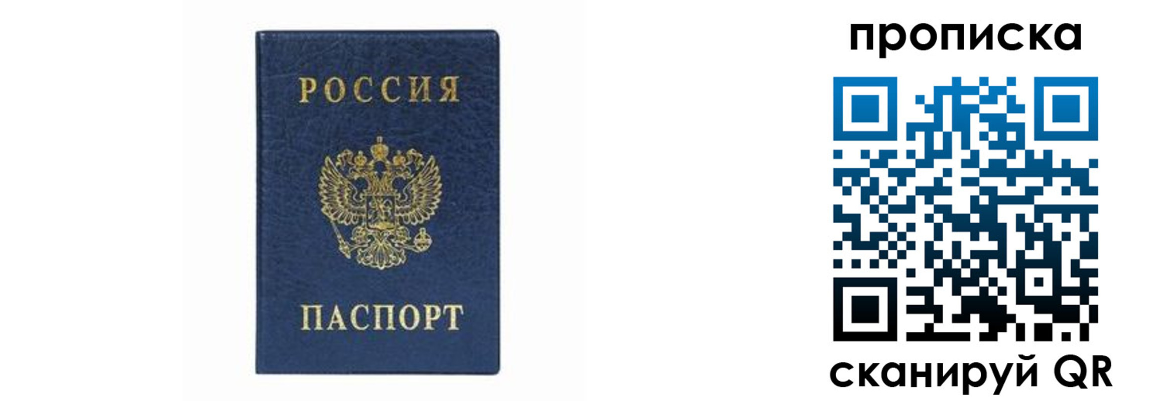 временная регистрация поиск в Одинцово